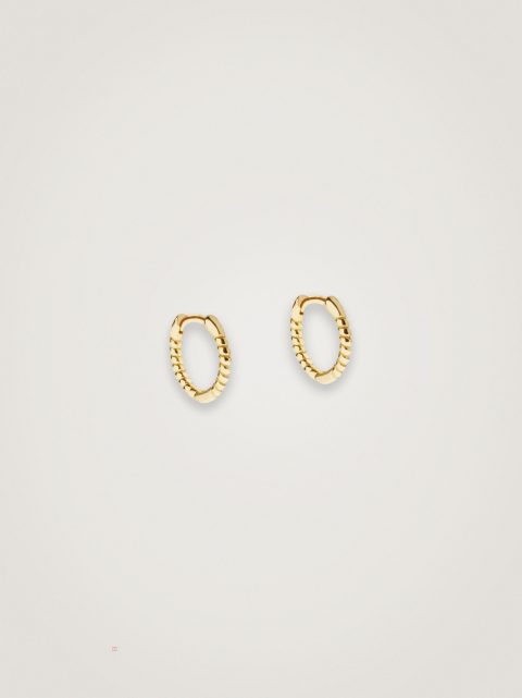 Nausnice Parfois 925 Silver Hoop Damske Zlate | SK-TF8216043