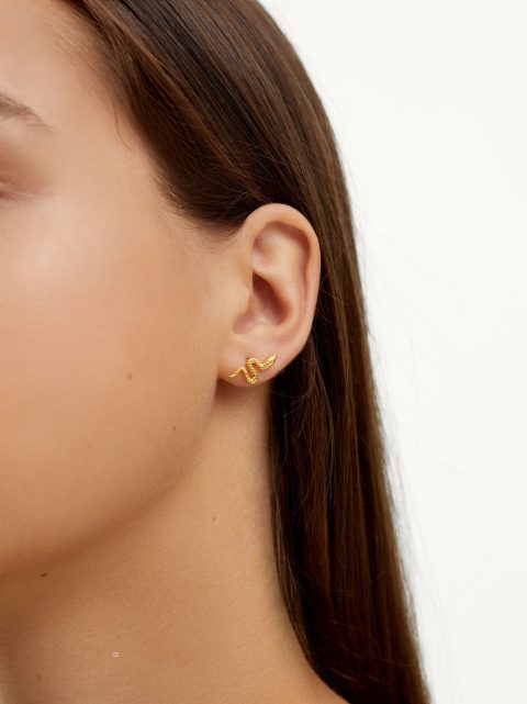 Nausnice Parfois 925 Silver Studs With Snake Damske Zlate | SK-YT7209485