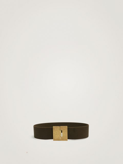 Opasky Parfois Elastic Damske Hnedožltý | SK-TM5820617
